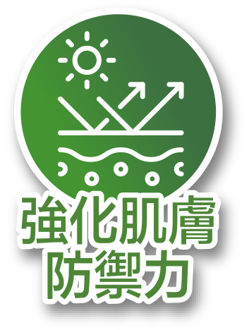 CANADEL 多合一藥用精華霜 | 2重抗黑 根源去斑 CANADEL精華霜, Canadel, 2重抗黑, 美白祛斑, 淡紋緊緻, 舒敏抗炎
